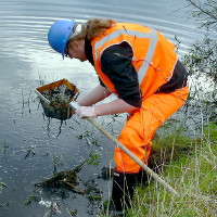 Erik surveying pond