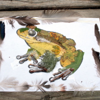Frog forest art