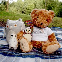 Teddy bears picnic