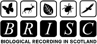 Biological Recording in Scotland (BRISC) logo