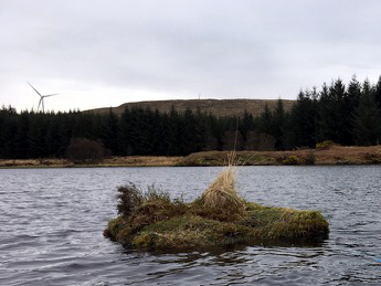 Nest rafts for red-throated divers installed at Freasdail Wind Farm